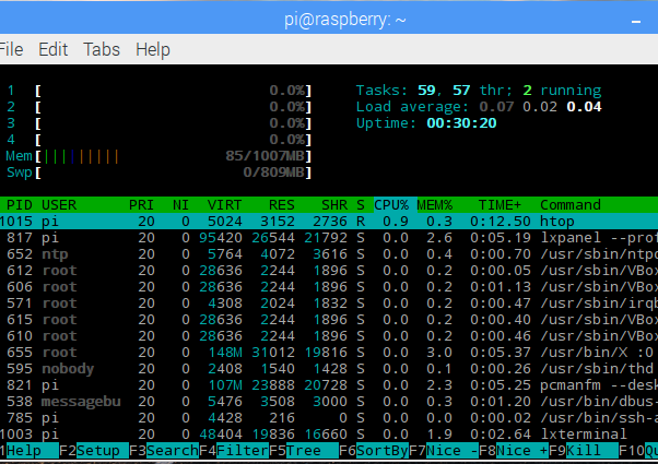 HTOP Terminal Application