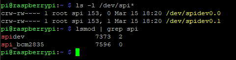 SPI Interface Check Command Output on Terminal